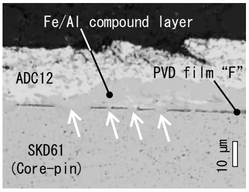 Fig. 2. Soldering observed on die-cast after 2000 shots.. Coating film “F” by PVD (Physical Vapor Deposition) is locally lost as shown by arrows, and an Fe/Al compound layer is formed at exposed SKD61.