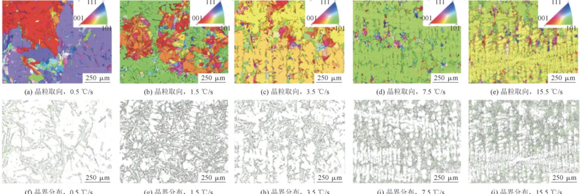 Fig.4 Grain orientation and grain boundary distribution at position A under different cooling rates