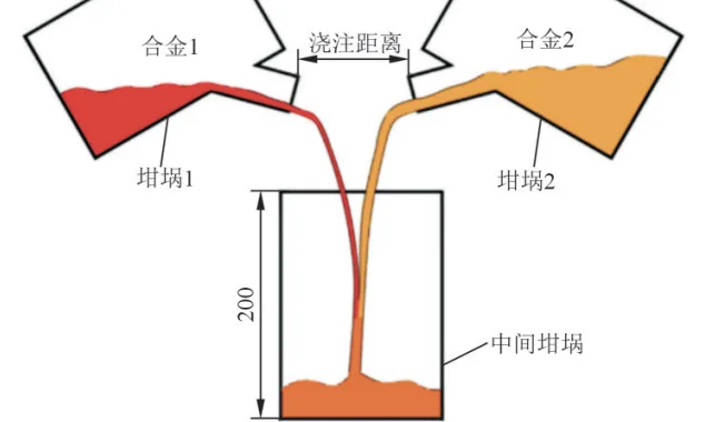 Fig.1 Schematic diagram of CDS process