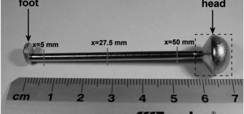 Fig. 1. A suction-cast ø3×55 mm Fe-25Ni rod