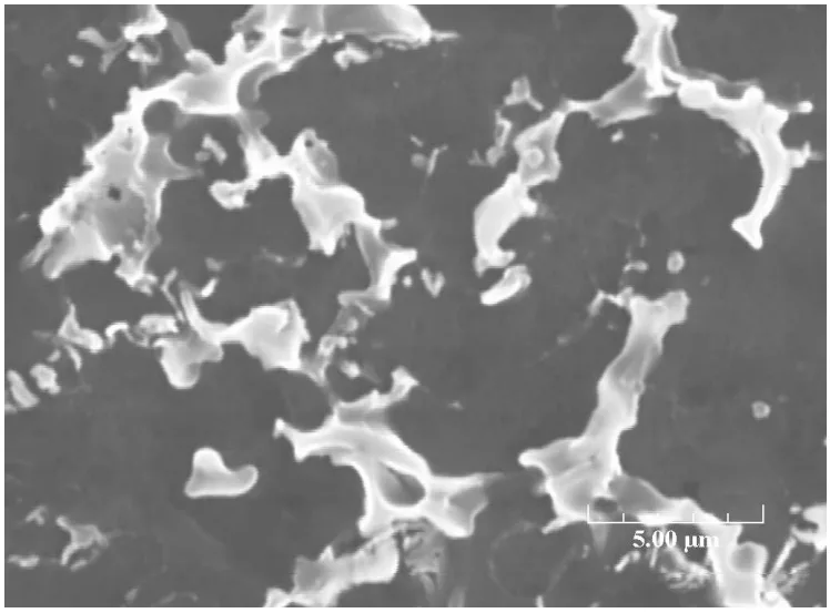 Figure 5. SEM micrographs of rheo-diecast AZ91D alloy showing the morphology of primary particles formed through the secondary solidification of the remaining liquid and the detailed morphology of the Mg17Al12 β-phase formed through eutectic solidification. 