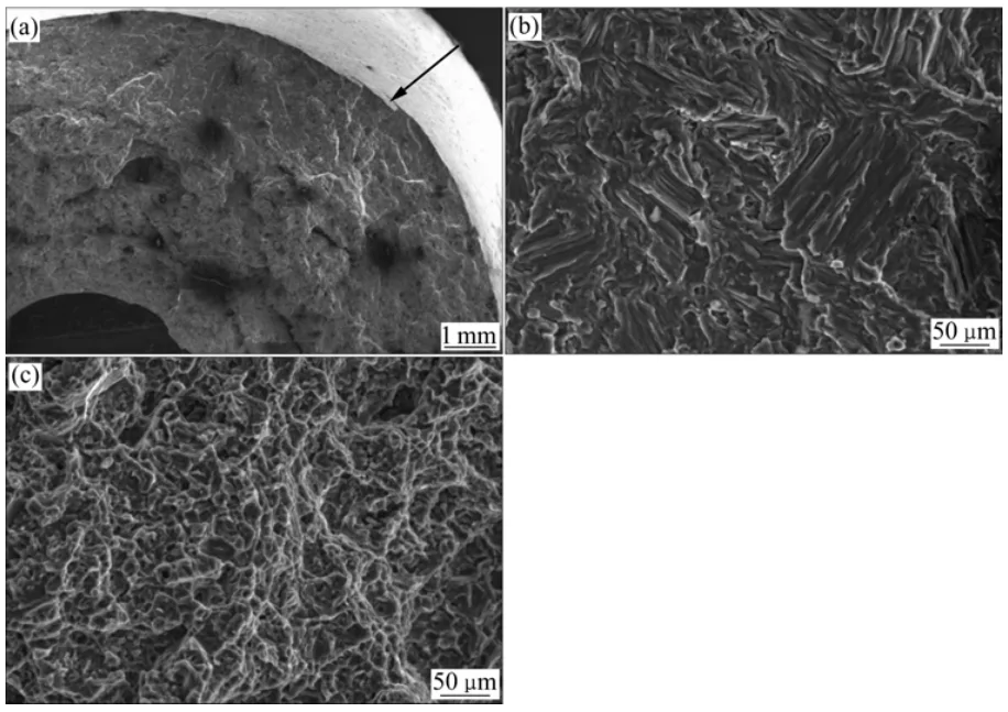 Fig.8 Fatigue fracture morphologies
of AM50 HP-F steering wheel frame:
(a) Full view of fracture; (b) Crack
propagation zone; (c) Instantaneous
fracture zone