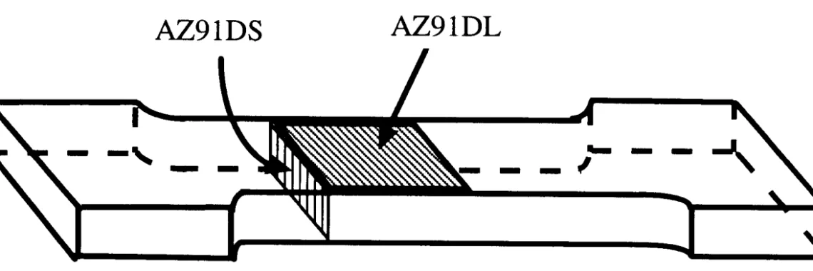 Fig. 1. Schematic presentation of the location of samples AZ80DL and AZ80DS taken from the tensile sample.