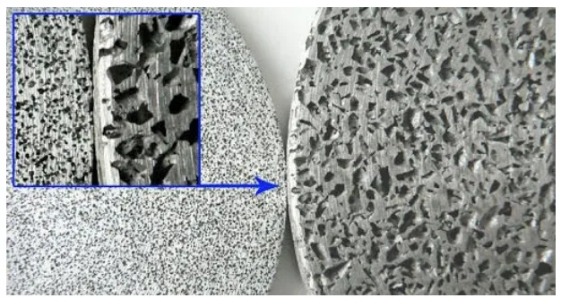 Figure 3.2: Shrinkage and porosity defect