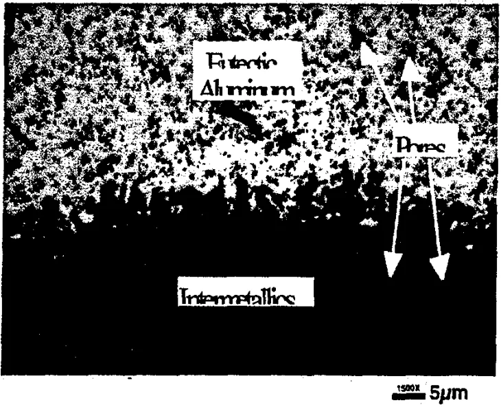 Figure 5: An optical photomicrograph of the aluminum/ intermetrdlic interface indicating the presence of pores in both the aluminum and the intermetallic phases.
