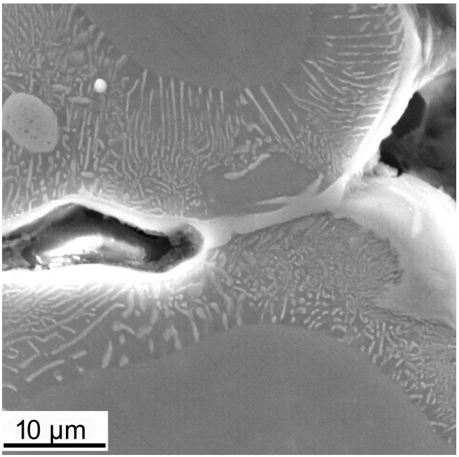 Figure 3. Microstructure near porosity in the Mg-Al-Zn alloy.
Figure 4. Microstructure of the Mg-Al-Zn alloy. (a–d) light microscopy, (e,f) SEM images.
F