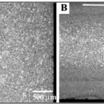 Figure 5b. ESCs in AM60B (large grains with bright contrast) in a U-profile type of casting. A) Close to the gate, B) Far from the gate. Arrows indicate flow direction [3]