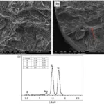 Fig. 8 Typical SEM view of the fractured surface of S2 (best elongation) and R5 (poorest elongation); (a) is from S2 and (b) is from R5; (c) EDS result of oxide film