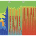 Fig.5 Dendrite competition growth of magnesium alloy in direct solidification with different temperature gradients and solidification rates (a) GL=10 K/mm, V=2.5×10⁻⁵ m/s (b) GL=10 K/mm, V=2.5×10⁻⁴ m/s (c) GL=50 K/mm, V=2.5×10⁻⁴ m/s