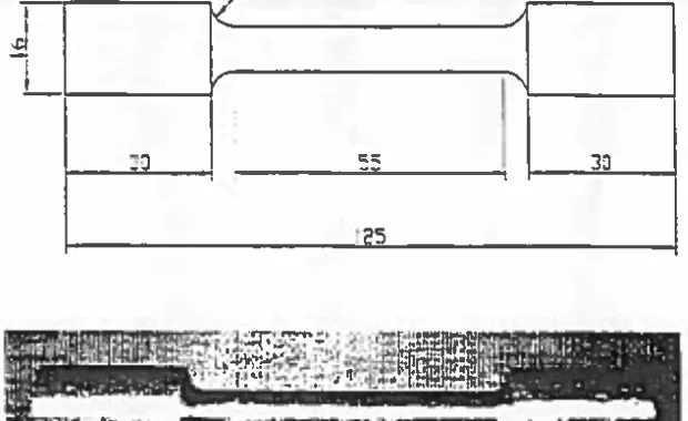 Fig. 2 Drawing of the test sample and the sample itself for the tensile test