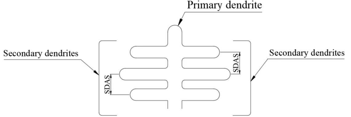 Figure 1. SDAS definition: the distance between two secondary dendrites.