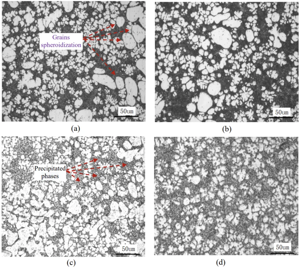 Figure 8. Microstructures of the C 611 and TL117
a. Section vertical to the surface(C 611) b. Section parallel to the surface (C 611)
c. Section vertical to the surface(TL 117) d. Section parallel to the surface(TL 117)