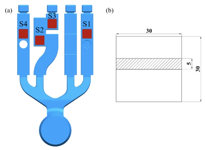 Figure 3. Three-dimensional model of the sample and sampling location (S1, S2, S3, S4). (a) Sampling location diagram;(b) specimen size.