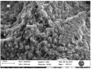 Figure 53 : as built Z sample fracture surface magnitude 1,50K,x