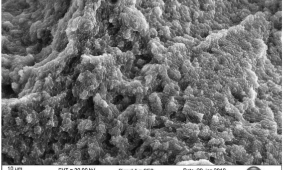 Figure 53 : as built Z sample fracture surface magnitude 1,50K,x