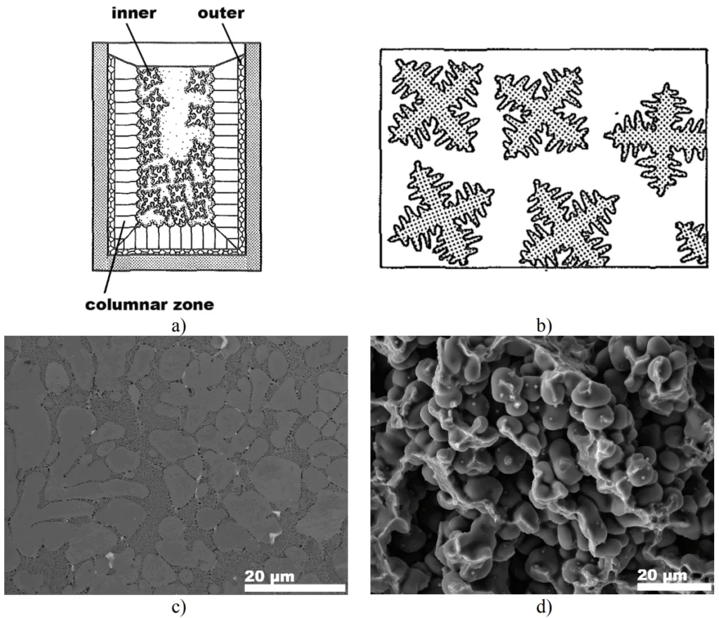Figure 2.6 a) Structural zone formation in castings [36], b) dendritic arms [36], c) SEM image of dendrites in Al-Mg-Si alloys (present work), d) SEM image of aluminum dendrites in the fractured surface of a tensile test bar of the Al-MgSi alloy (present work). 
