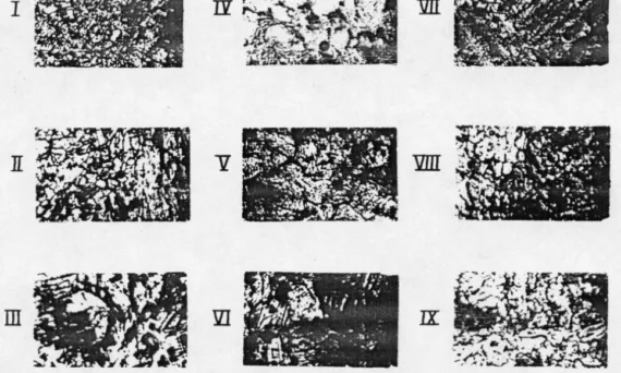 Figure 8. Microstructure (x100) of the ZSA1 (I, II, III) and ZSA2 (IV, V, VI) alloys when casting into nonmetallic and metallic (VII, VIII, IX) forms at the following casting temperatures: I, IV, VII - 450 °C; II, V, VII - 500 ° III, VI, IX - 550oC