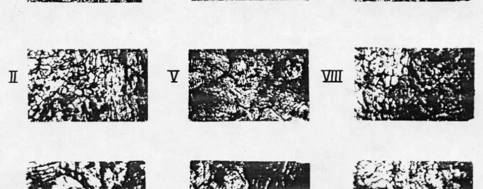 Figure 8. Microstructure (x100) of the ZSA1 (I, II, III) and ZSA2 (IV, V, VI) alloys when casting into nonmetallic and metallic (VII, VIII, IX) forms at the following casting temperatures: I, IV, VII - 450 °C; II, V, VII - 500 ° III, VI, IX - 550oC
