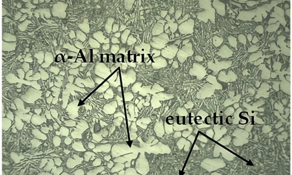 Figure 1. Photograph of the base microstructure of the SSM-ADC12 aluminum alloy formed using GISS casting