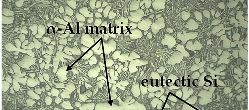 Figure 1. Photograph of the base microstructure of the SSM-ADC12 aluminum alloy formed using GISS casting