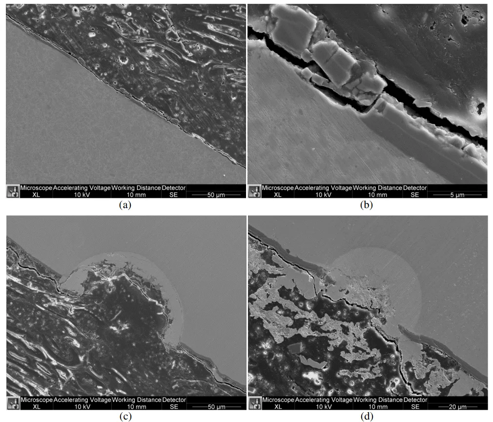 Figure 8: SEM graphs of the H-13 bar under ultrasonic vibration with Lumena coating in zinc molten. (a-b) 450 degree C (20 seconds) and (c-d) 700 degree C (5 seconds).