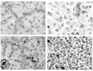 Figure 1. Optical Micrograph (a)3% SiC in AZ91(b)6% SiC in AZ91(c)9% SiC in AZ91(d)12% SiC in AZ91