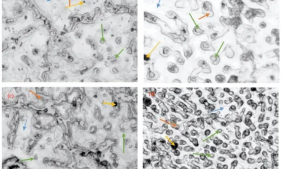Figure 1. Optical Micrograph (a)3% SiC in AZ91(b)6% SiC in AZ91(c)9% SiC in AZ91(d)12% SiC in AZ91