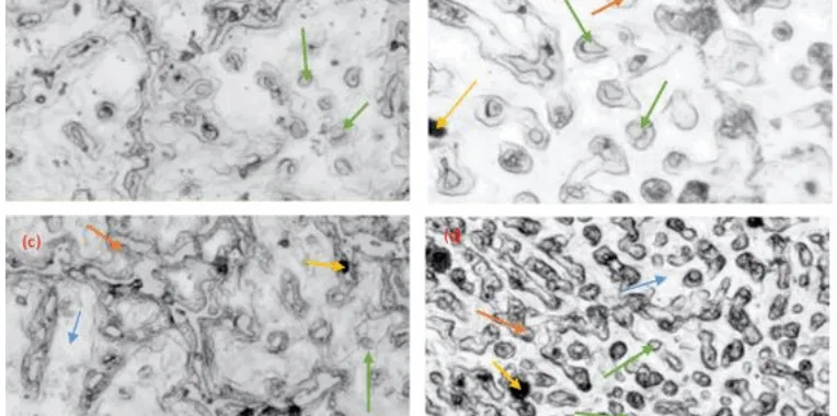 Figure 1. Optical Micrograph (a)3% SiC in AZ91(b)6% SiC in AZ91(c)9% SiC in AZ91(d)12% SiC in AZ91