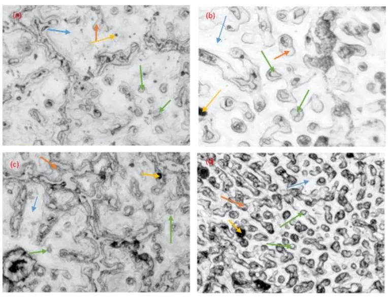 Figure 1. Optical Micrograph (a)3% SiC in AZ91(b)6% SiC in AZ91(c)9% SiC in AZ91(d)12% SiC in AZ91