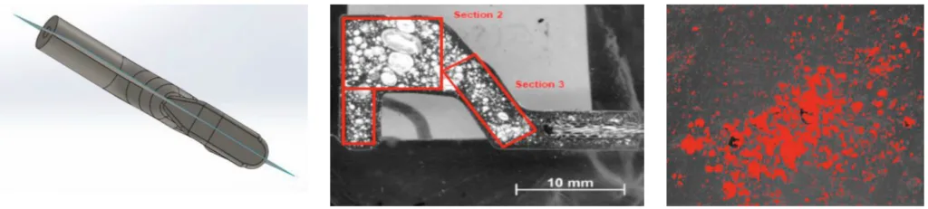 Fig. 4.(a) Plane cut of the terminal for surface analyse; (b) Cut sections selected of the terminal surface; (c) Example of a surface analyse using
the Image J software
