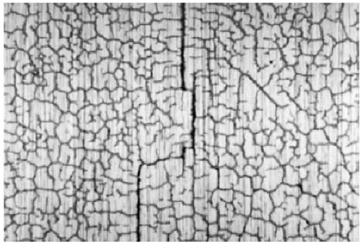 Fig. 1. Example of heat checks, Srivastava et al. (2004).