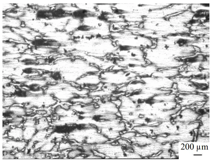 Fig. 8. Dynamic recovery of AZ31 alloy observed at
350
oC and at a strain rate of 0.01 S
-1