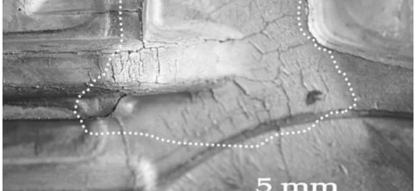 Figure 1: Imprints of cracks on a cast, as a result of thermal cracking