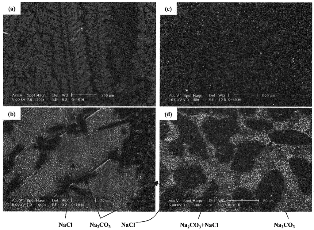 Fig. 7 SEM secondary electron images of solidified structure. (a) and (b): NaCl - 10mol% Na2CO3. (c) and (d): NaCl -70mol% Na2CO3.