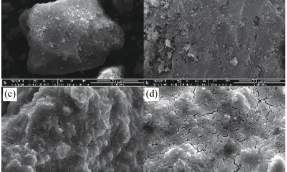 Fig.1 Test sample SEM: (a) sample 1; (b) sample 2; (c) sample 7; (d) sample 8