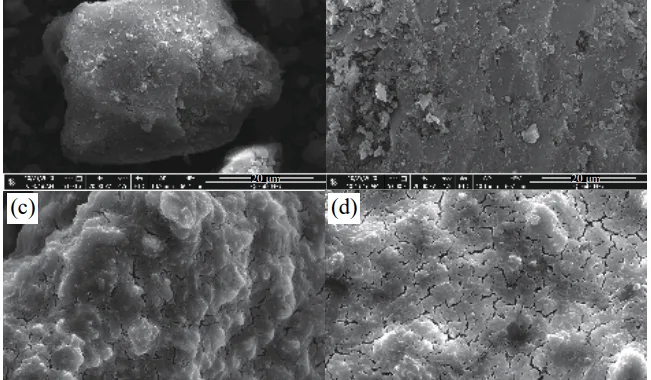 Fig.1 Test sample SEM: (a) sample 1; (b) sample 2; (c) sample 7; (d) sample 8