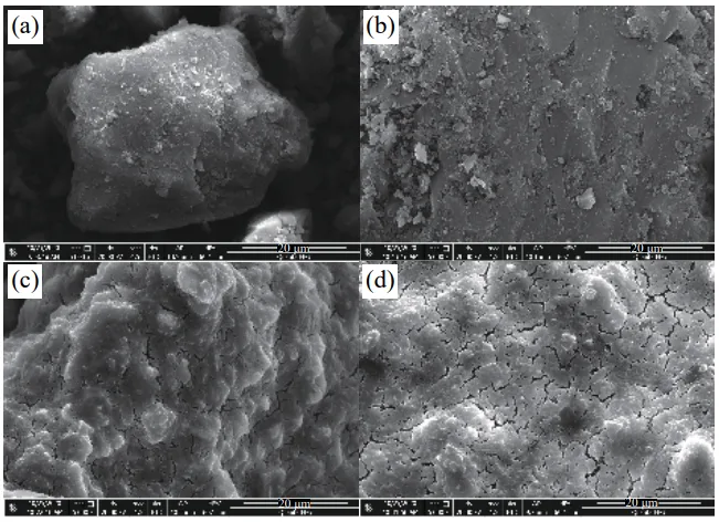 Fig.1 Test sample SEM: (a) sample 1; (b) sample 2; (c) sample 7; (d) sample 8
