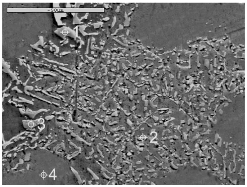 Fig. 9. Microstructure of ACAlSi9Cu casting alloys
