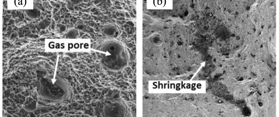 Figure 3.5: SEM images on the fracture surface of HPDC processed primary alloy showing: (a) gas pores, and (b) shrinkage pore. (adapted from [79])
