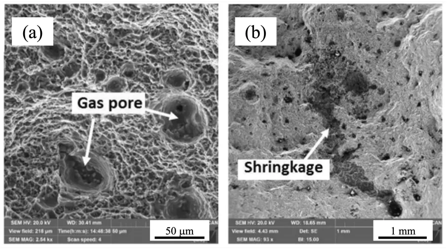 Figure 3.5: SEM images on the fracture surface of HPDC processed primary alloy showing: (a) gas pores, and (b) shrinkage pore. (adapted from [79])