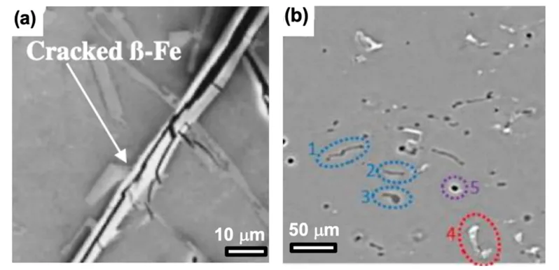 Figure 2: Examples of detrimental IMPs in commercial Al-alloys.