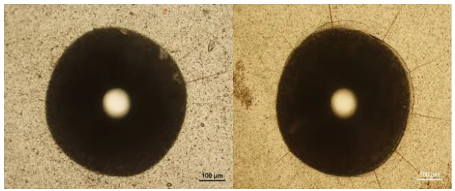 Fig.7 Indentation impression after Mercedes test; AlXN3
(left),
nACRo3
(right)