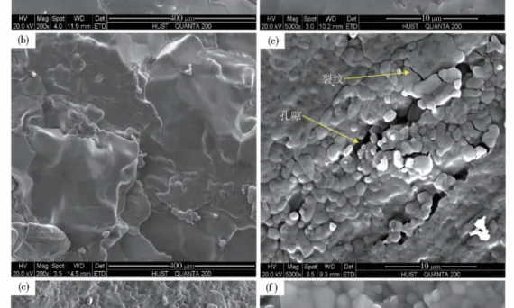 Fig． 4 Morphology of three kinds of WSSCs: ( a) fracture of KCl WSSC; ( b) fracture of KNO3 WSSC; ( c) fracture of binary composite WSSC; ( d) solidified structure of KCl WSSC; ( e) solidified structure of KNO3 WSSC; ( f) solidified structure of binary composite WSSC