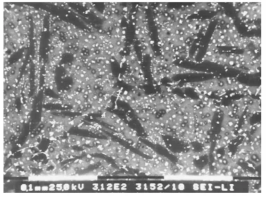 Figure 8. SEI image of Mg-Li sacrificial anode with 8Li% (-1650mVe.s.c). Inter-metallic compound on the boundary grains and structural homogeneity of matrix