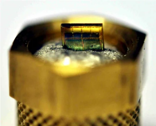 Figure 2. TG embedded into tin.