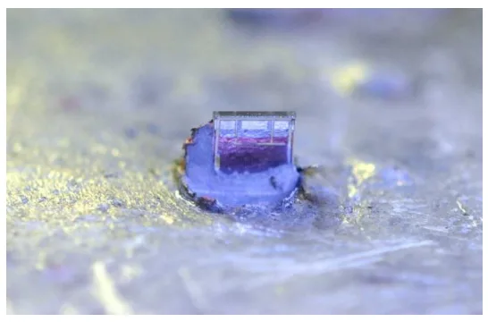 Figure 7. Half embedded TG after removing protective plastic.