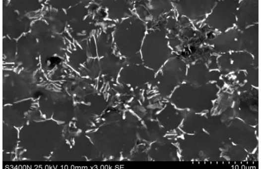 Fig. 3. SEM image of die-cast AE44 alloy