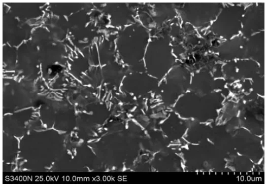 Fig. 3. SEM image of die-cast AE44 alloy
