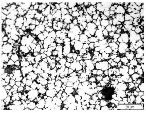 Fig. 4. Microstructure of 1 mm thick plate 