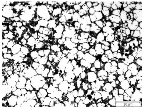 Fig. 5. Microstructure of 3 mm thick plate 